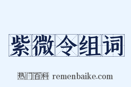 紫微令组词是什么意思的图片